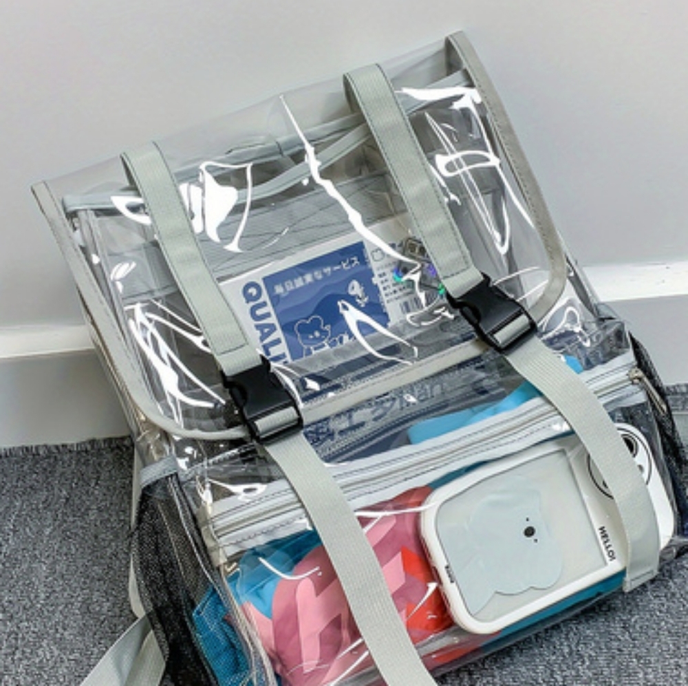 Grey clear large backpack